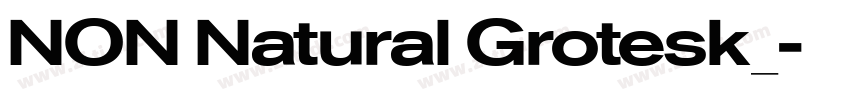 NON Natural Grotesk_字体转换